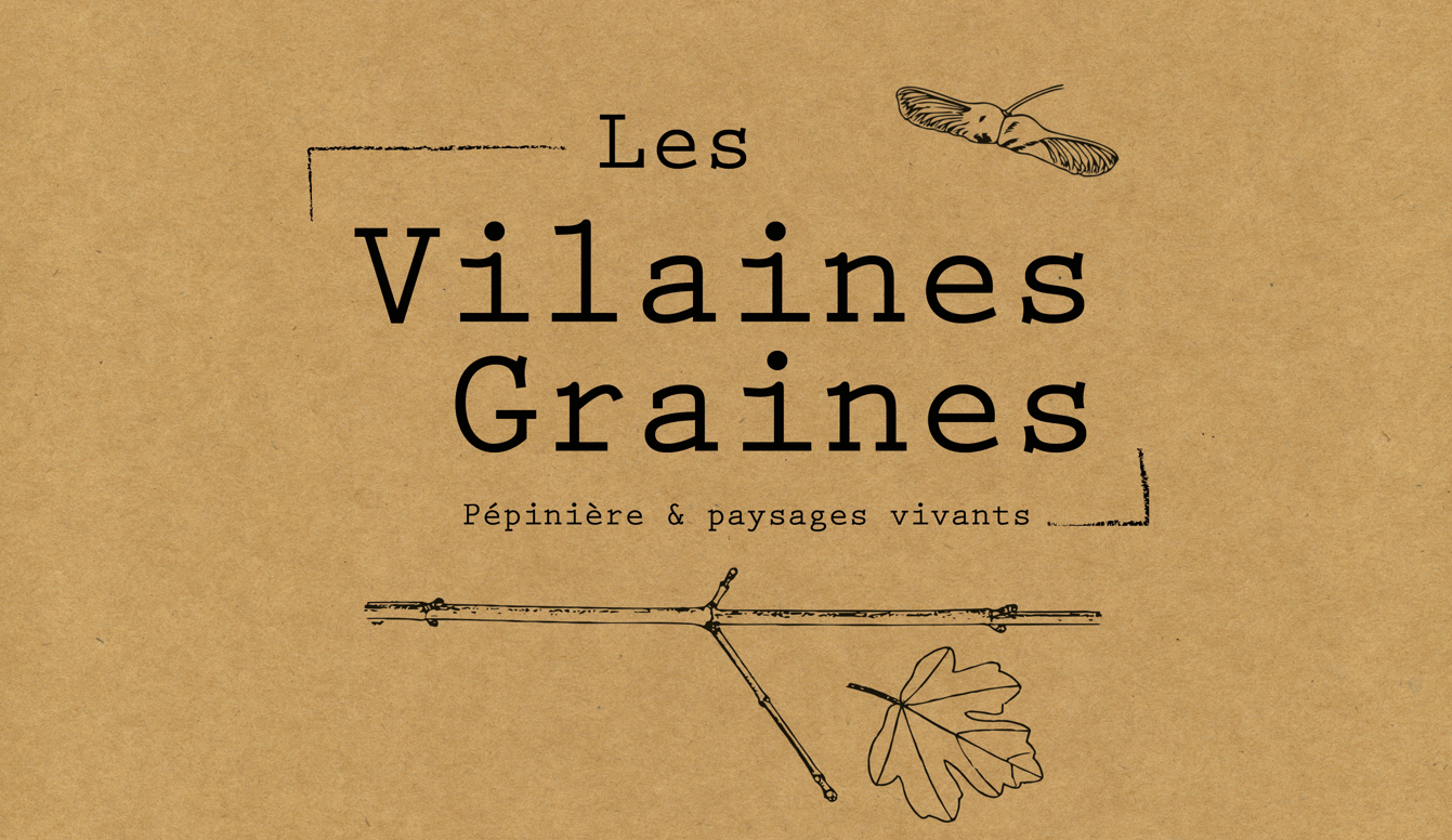 Logo de : Les Vilaines Graines