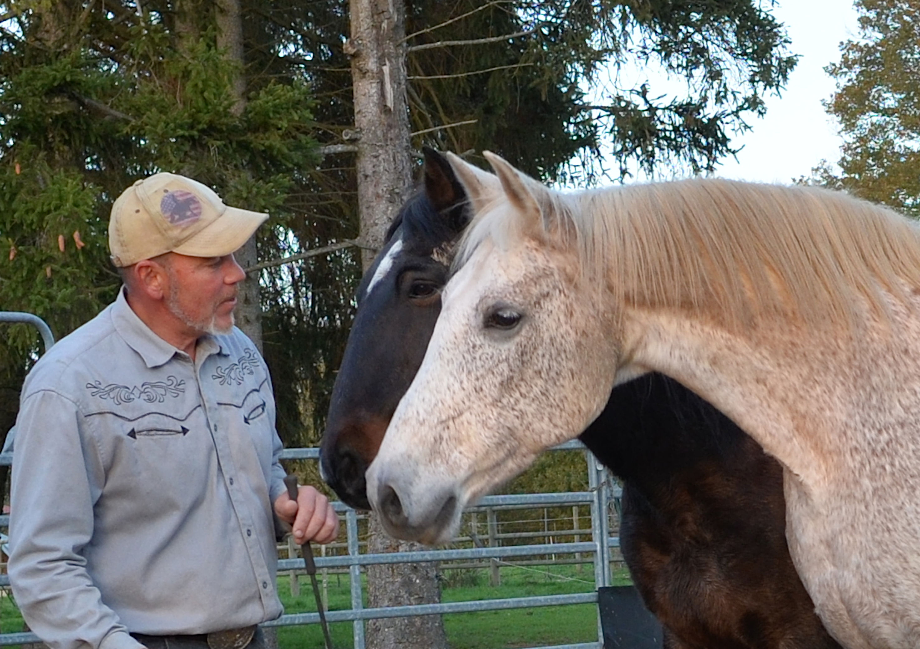 Logo de : SENS-EQUI-LIBRE